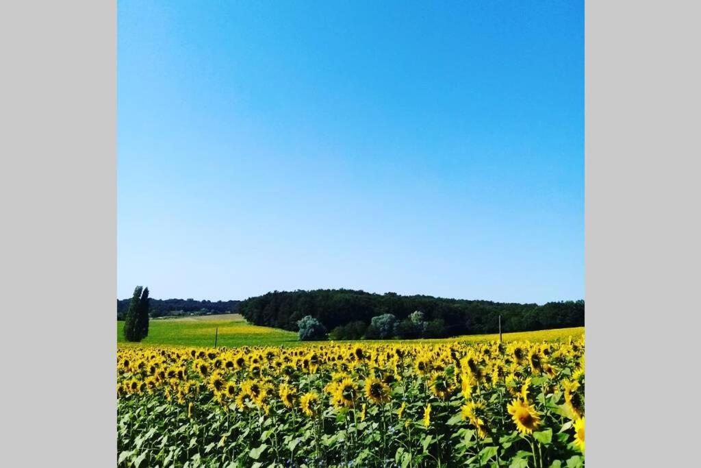 As Seen On A New Life In The Sun - Beautiful 3 Bedroom Cottage With Shared Pool Montboyer 外观 照片