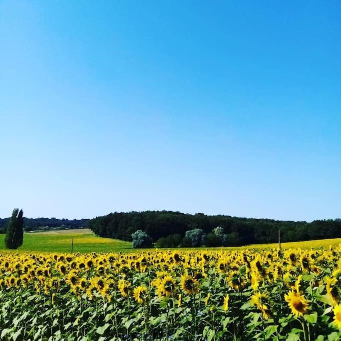 As Seen On A New Life In The Sun - Beautiful 3 Bedroom Cottage With Shared Pool Montboyer 外观 照片