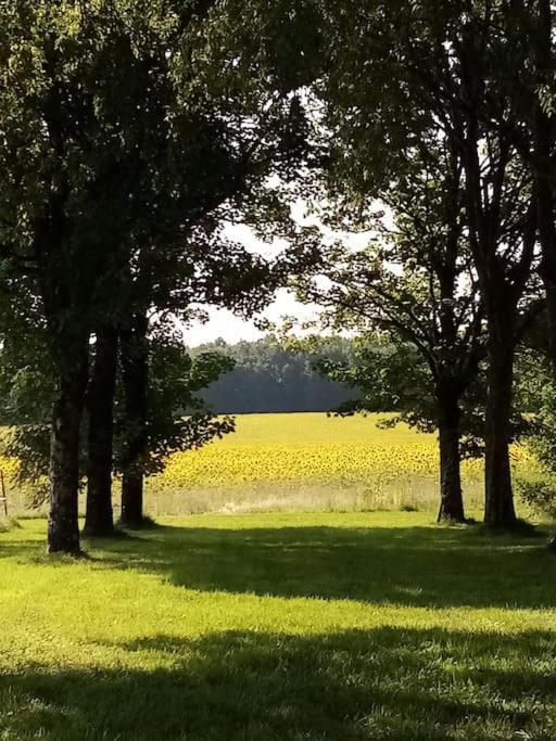 As Seen On A New Life In The Sun - Beautiful 3 Bedroom Cottage With Shared Pool Montboyer 外观 照片